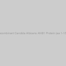 Image of Recombinant Candida Albicans ANB1 Protein (aa 1-157)